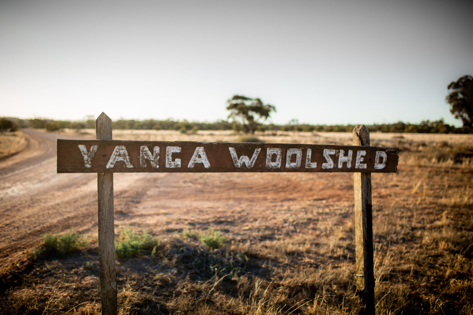 Balranald Town TWIG – ACRE21 – Acre Project